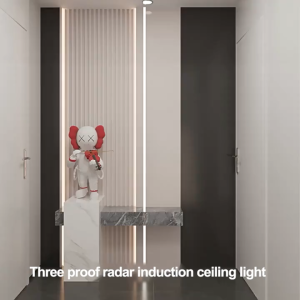 20W Motion Sensor LED Human Body Induction Light Corridor Sound and Light Control Radar Human Body Induction Lighting