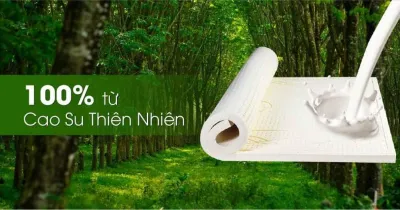 Nệm Cao su thiên nhiên Vạn Thành 1m6x2m0x5cm