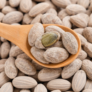 WENXIANGZAN | Large Kernel Cream Flavored Pumpkin Seeds 2.5kg