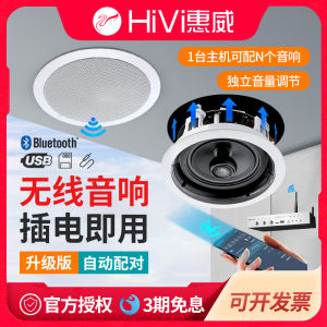 Hivi Bluetooth Ceiling Speaker Wireless Inverted Embedded Shop Background Music Coaxial Horn Store Audio System China Made