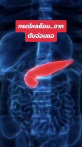 ชานาภีภิรมย์(1แถม1ได้ถึง60ซองชา)ลดกรดไหลย้อนกระตุ้นต่อมย่อยอาหาร แน่น จุก เสียด