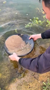 5 Pieces Gold Panning Kit Ideal for Beginners and Enthusiasts Outdoor Exposed Bedrock Inside Bends Complete Prospecting Set