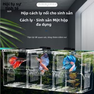 HUIYANGXU | Hộp Nuôi Trong Suốt Cho Việc Nở Trứng