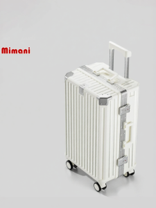 TSA Lock Suitcase Strong 20in-28in