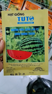 (Gói 20gr) Hạt Giống Dưa Hấu Lai F1 Bình Minh 2628 TUTO - Cây kháng bệnh tốt độ ngọt cao