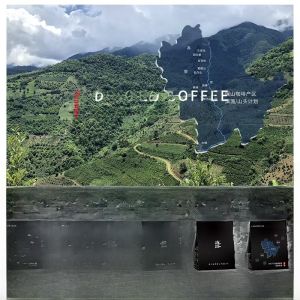 Dianlu Yunnan Small Bean Premium Coffee Beans Arabica Italian Blend Espresso Deep Roast 1000g Aromatic Rich Flavor