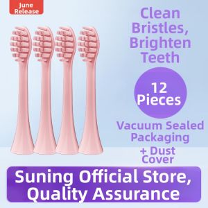 Initial June Compatible with West House Electric Toothbrush Head WN-0501/WN-0502 Universal Replacement Toothbrush Head Deep Cleaning Adult Hardness