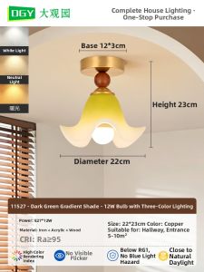 DGY | French Style Modern Minimalist Ceiling Light for Balcony Stairs Entryway Hall