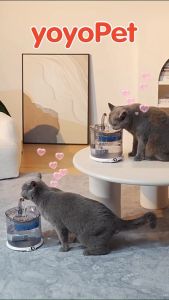 coolpet 🐶 น้ำพุแมว น้ำพุสัตว์เลี้ยง ถังให้น้ำแมว เครื่องกรองน้ำสัตว์เลี้ยง ที่ให้น้ำอัตโนมัติ ปรับระดับได้