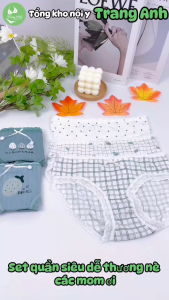 Combo 10 Quần Chip Bé Gái Thun Tăm Thoáng Khí Co Giãn Viền Ren Họa Tiết Dâu Xanh Cute 25–62kg Quần Cute CTB14