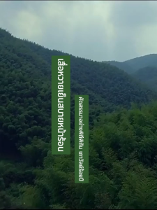 Chalet เสื่อ เสื่ออไม้ไผ่พับเก็บได้ เสื่อเย็น ใช้งานได้ 2 ด้าน ขนาดต่างๆ สบายและเย็น ป้องกันรอยขีดข่วน