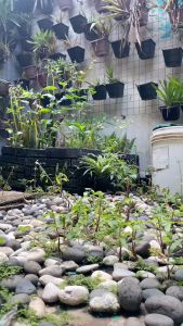 Tempat Sampah Yutaka Tutup Goyang 20 Liter - Yutaka Tong Segi Empat Kotak Abu-Abu 20 L