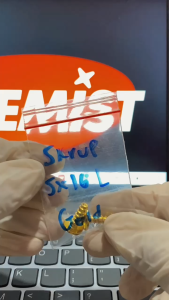 Baut L Skrup 5x16 Gold Motor Semua Merk / Baud Skrup L 5x16 Gold Motor Universal