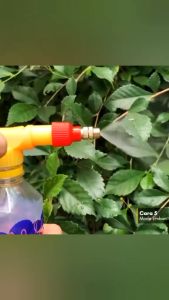 Kepala Pompa Tutup Botol Semprotan Mandi Burung/siram Tanaman Bunga Multifungsi