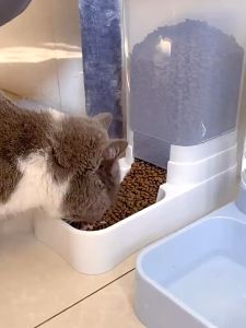 BOB PET Pet Automatic Water Feeder 3.8L Dispenser 2.1KG Food Feeder Large Capacity Dispenser Cat Dog Water Bowl