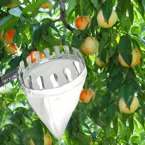 Kéo hái trái cây trên cao kèm túi vải - không có cực - LAZYL