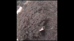 ขุยมะพร้าว ชนิด Treat 2 กก/ถุง (จํานวน 2 ถุง)