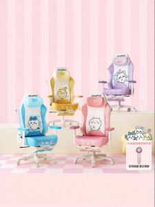 Women Gaming Chair Co-branded Model