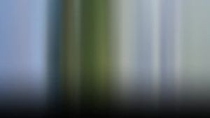 226 รองเท้าฟุตบอลนักเรียนใหม่ข้ามพรมแดน รองเท้าฝึกซ้อมหญ้ามืออาชีพ รองเท้าฟุตบอลในร่มกันลื่น จัดส่งโดยตรงจากโรงงาน