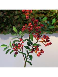 FENGHONGTAO | High Quality Fake Berry Fruit Branch Decoration