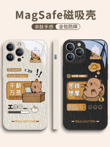 Magsafe Magnetic Absorption Charging iPhone 15 pro Max Capybara Apple 13 Phone Case Cute Cartoon Couple Glass Mirror Shell