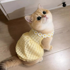 Shedding Prevention and Breathable Pet Dress