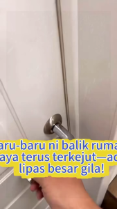 LUMAO Lizard Repellent Racun Cicak Racun Cicak Paling Berkesan Lizard Killer Add Water for Unlimited Use Spray Cicak Cicak Hilang Dalam 200 Meter!