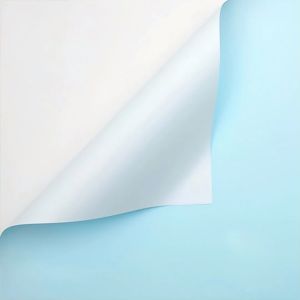 20 Tờ Giấy gói hoa 2 mặt 2 màu trơn phong cách Hàn Quốc 57x57 cm -LUMBL