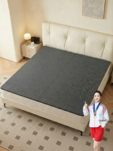 Back Support Coconut Mattress Foldable Double Size