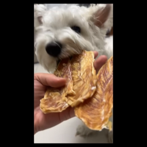 อกไก่อบแห้งสำหรับสุนัขและแมว โปรตีนสูง ธรรมชาติ 100% ไม่มีเกลือ ไม่แต่งกลิ่น ไม่ใส่สารกันบูด เหมาะใช้เป็นขนมรางวัลและโรยเพิ่มบนอาหาร