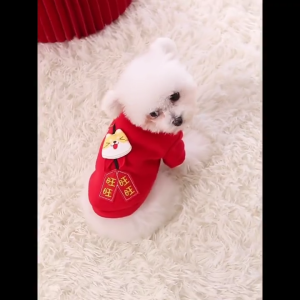 Tang Style Clothes Red Costume for White Poodle & Small Dogs
