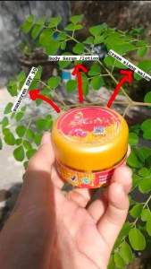DNA SALMON SERUM COLAGEN 2 IN 1