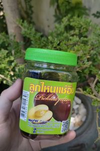 WPK Fruits Pickle Plum (Green Plum) (bottle/500g/1kg) ลูกไหนแช่อิ่ม