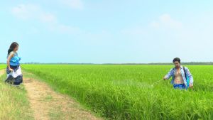 บูสเตอร์โฟร์ทรี (Booster) - สารสกัดไคโตซานบริสุทธิ์จากธรรมชาติ พัฒนาต่อเนื่องจากสินค้าโฟร์ทรี ให้พืชแข็งแรง โตไวกว่าเดิม ลดปัญหาโรคพืช