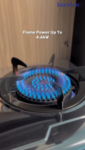 iSONIC Heavy Duty Stainless Steel Gas Stove Double Burner 4.6kW x2 Cooking Hob Cooker for Kitchen Home