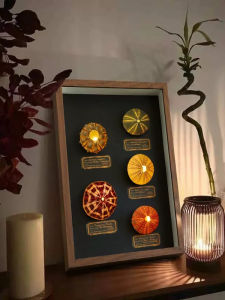 Natural Sea Urchin Atmosphere Lamp Decorative Painting Ornament Picture Frame Home Creative Shell Specimen Gift Festival Birthday