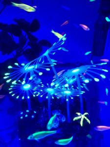 fluorescent (Glowing) Artificial Green Coral aquarium decoration (Water plants) Rm13.9.