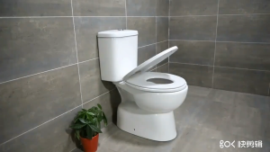 SG Seller Adult Toilet Seat With Child Potty Training Cover PP Material Double Seats Safe Close Convenient