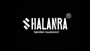 SHALANRA HEM6400 Hệ Thống Monitor Tai Nghe Không Dây UHF Mono - IEM Kim Loại Cho Ban Nhạc/Phòng Thu - 16 Bodypack