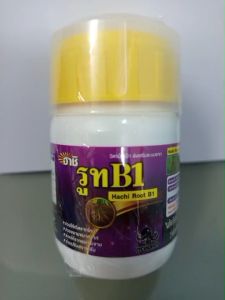 รูท B1(เร่งราก) ขนาด 100cc(ฮาชิ)