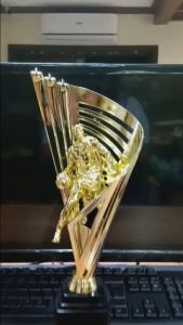 Basketball Gold Trophy 38 cm ( SL027 )( Customize Available )