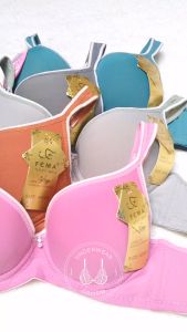 Bra Bh Fema 6603 6113 Pakai kawat Busa Tipis Ada Busa Penyangga Cup A Kait 2 SIZE 34-36-38-40