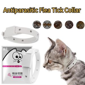 Antiparasitic Flea Tick Collar for Small Dogs Cats 1/3/5PCS Adjustable Protection Insect Repellent Puppy Kitten Collar Accessory