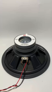 Loa bass 25 JB côn 42 gân mút từ kép 100+100 - giá 1 cái - loa siêu trầm