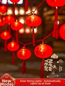 BEAUTY IN THE LIGHT | Festive New Year LED Light String