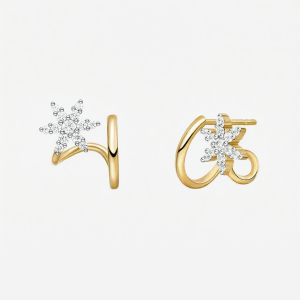 Elegant and Delicate Earrings
