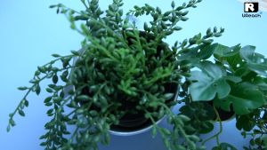 U - Reach CF 1 - 1 Portable Copier - Mini Series - CF121