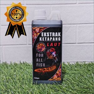 Ekstrak Ketapang Laut 1Liter Super Pekat Rahasia Channa Kontes