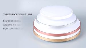 Round lamp LED Ceiling Light 12W/18W36W Downlight for Kitchen Hallway Bedroom white energy saving