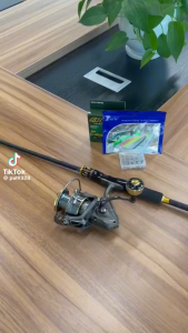 DAIWA Full Set 1.65-2.7m Carbon Fiber Fishing rod and Fishing lure Fishing Reel Fishing Hook Fishing Set Accessories